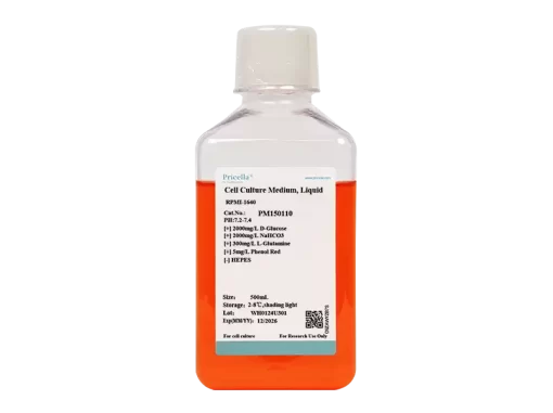 RPMI-1640, with P/S