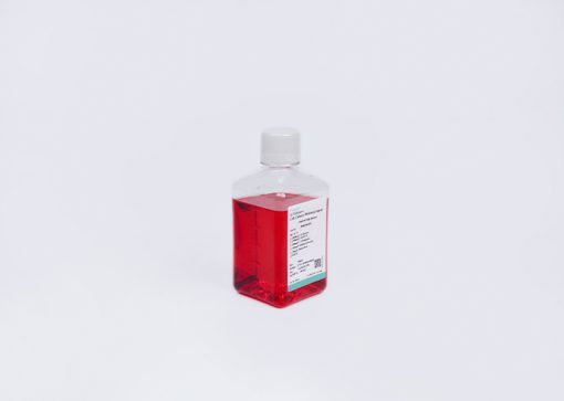 DMEM (High glucose), with P/S